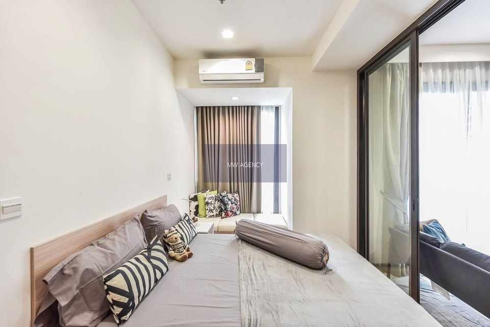 เลี้ยงสัตว์ได้💥จตุจักร💥เอ็ม จตุจักร🔴🟢🟡