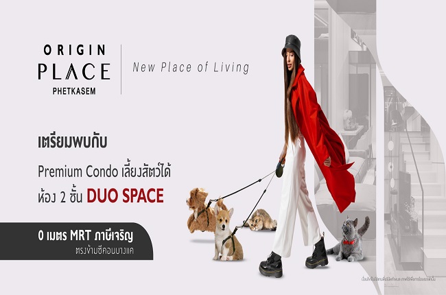 banner-project-details